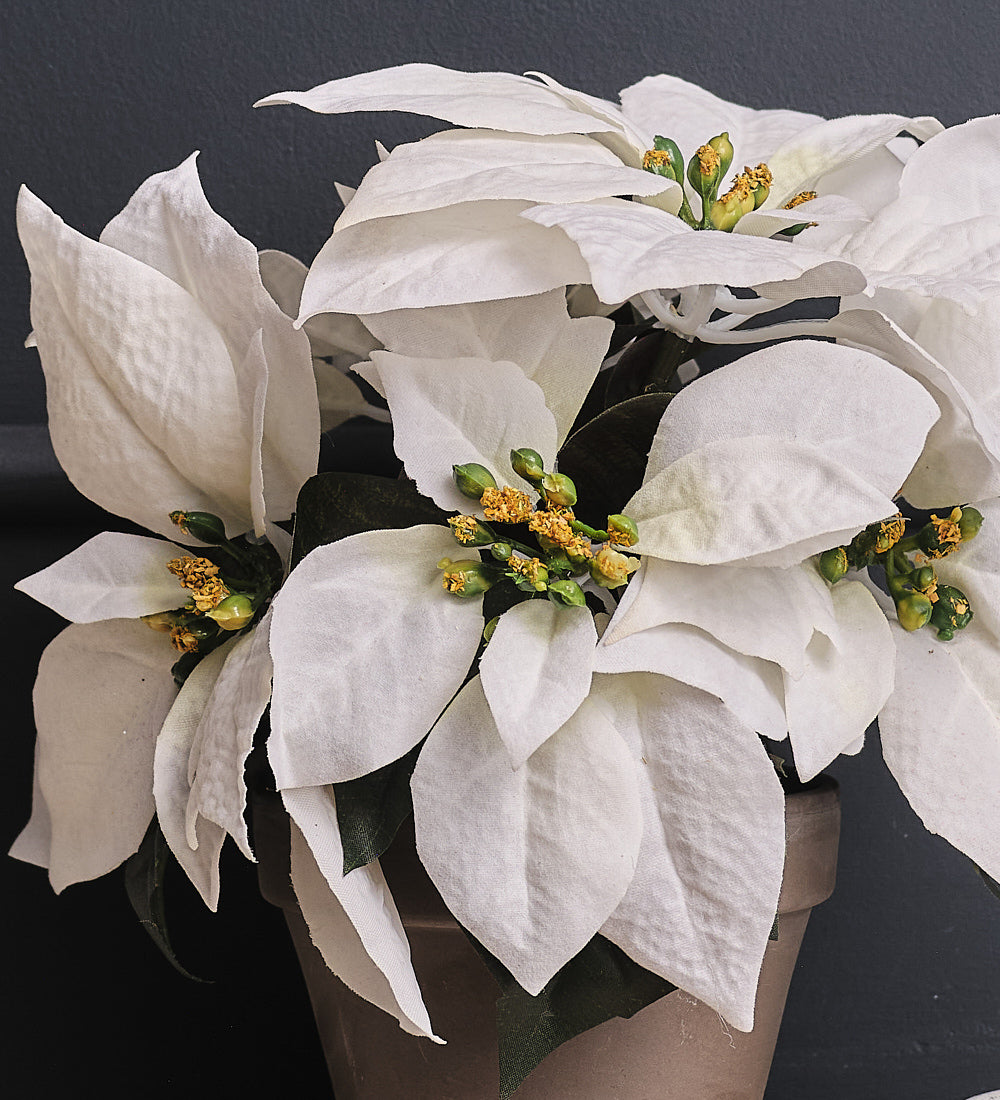 Artificial White Poinsettia