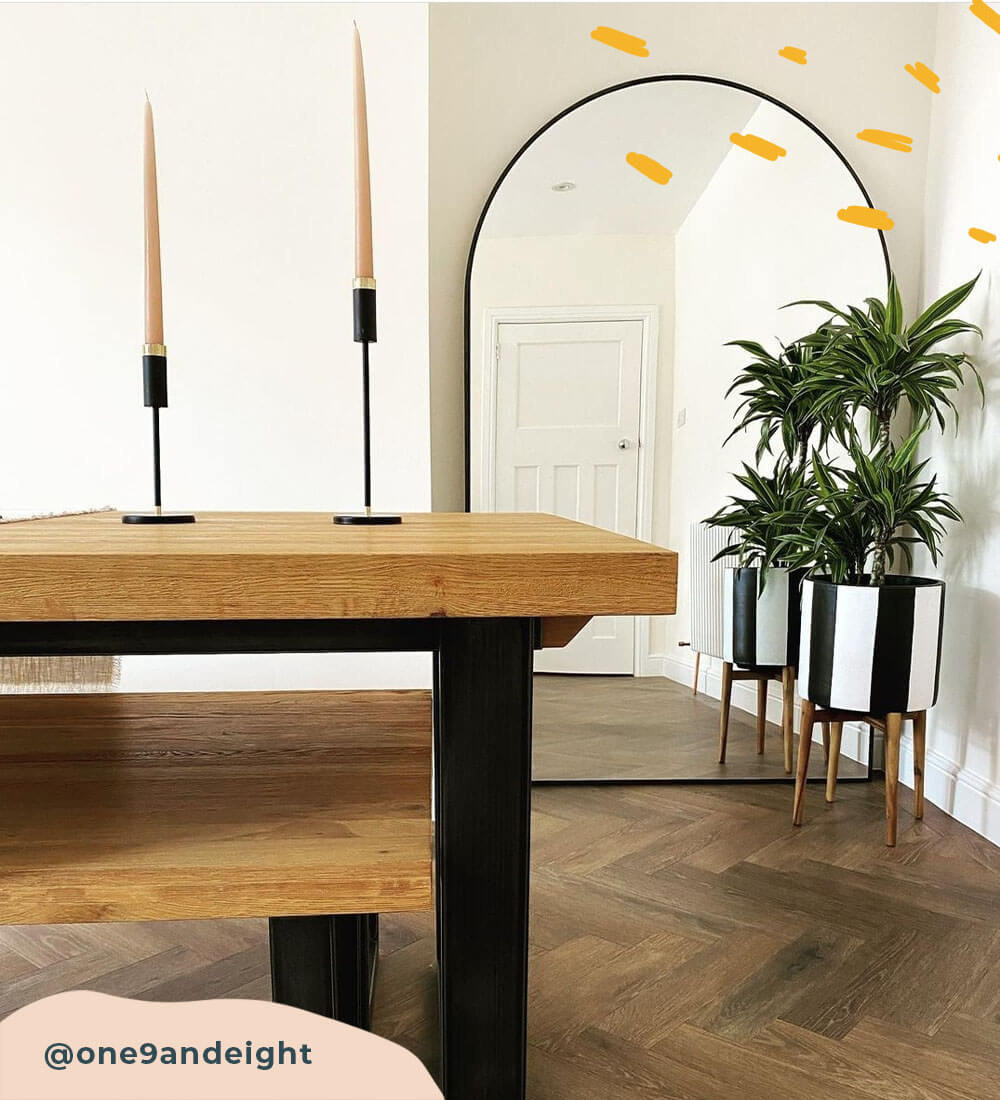 Dracaena Fragrans Warneckei